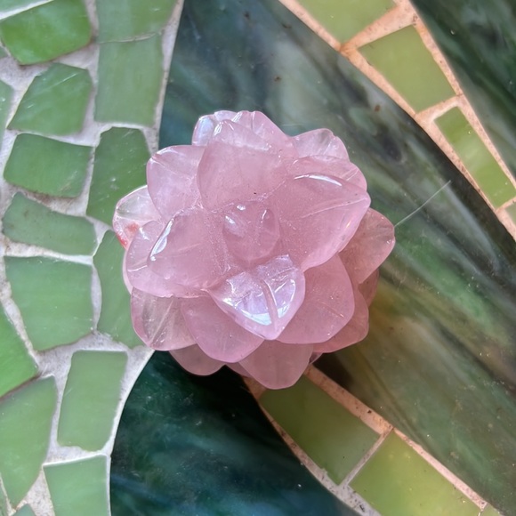 Rose Quartz Succulent - Picture 2 of 4